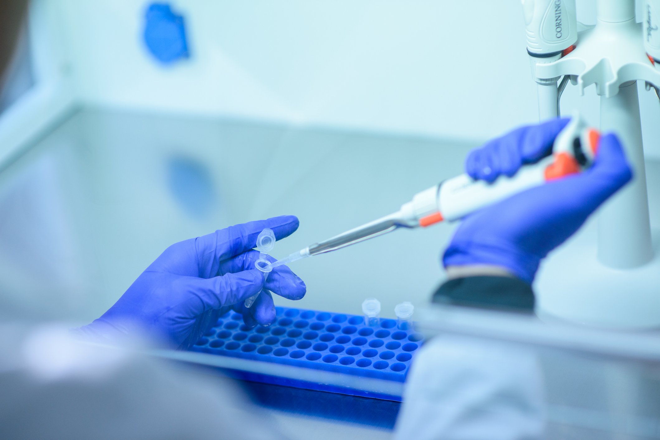 A portrait photo of a genetic test in the lab. | Photo: Getty Images