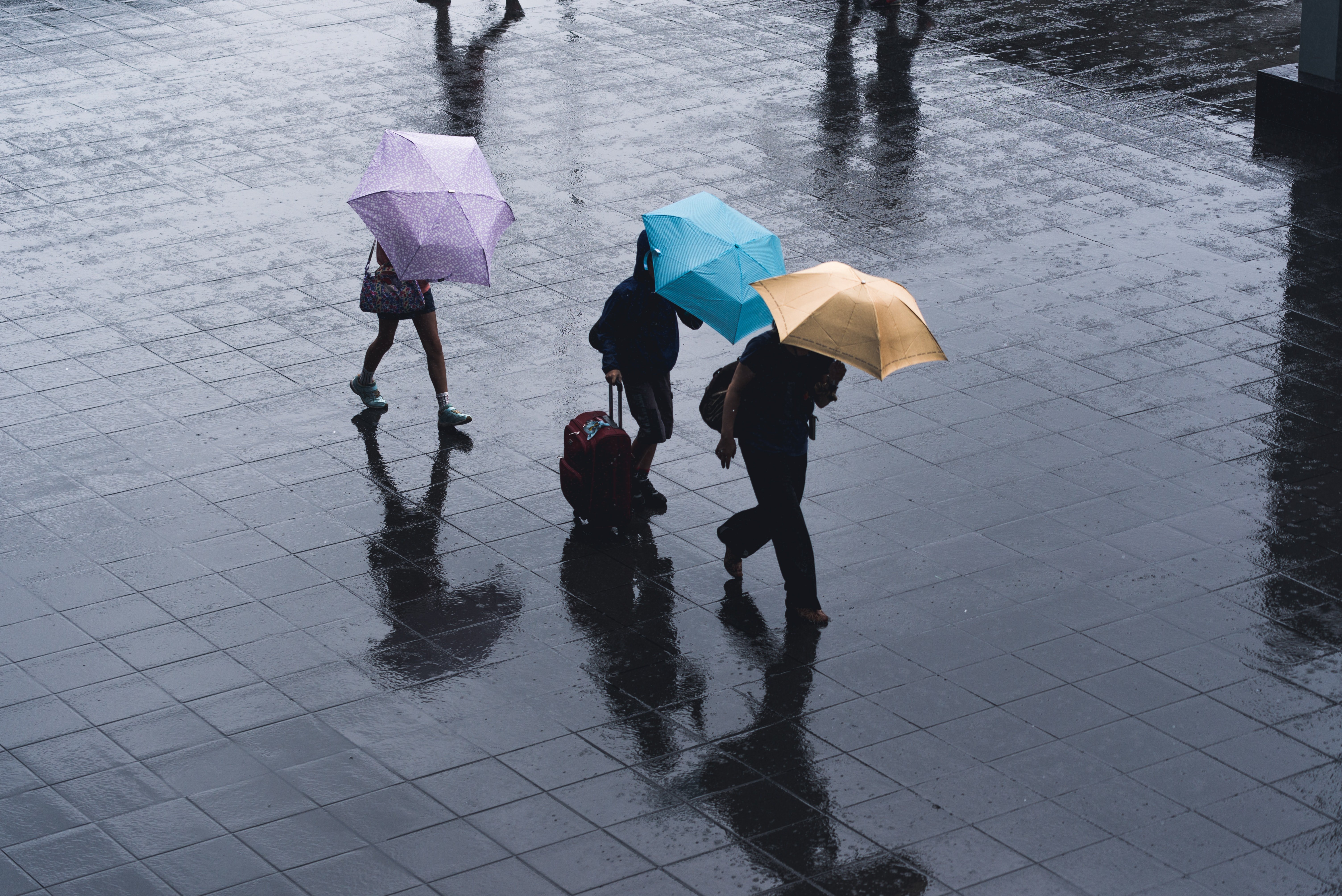 People walking in the rain | Source: Unsplash