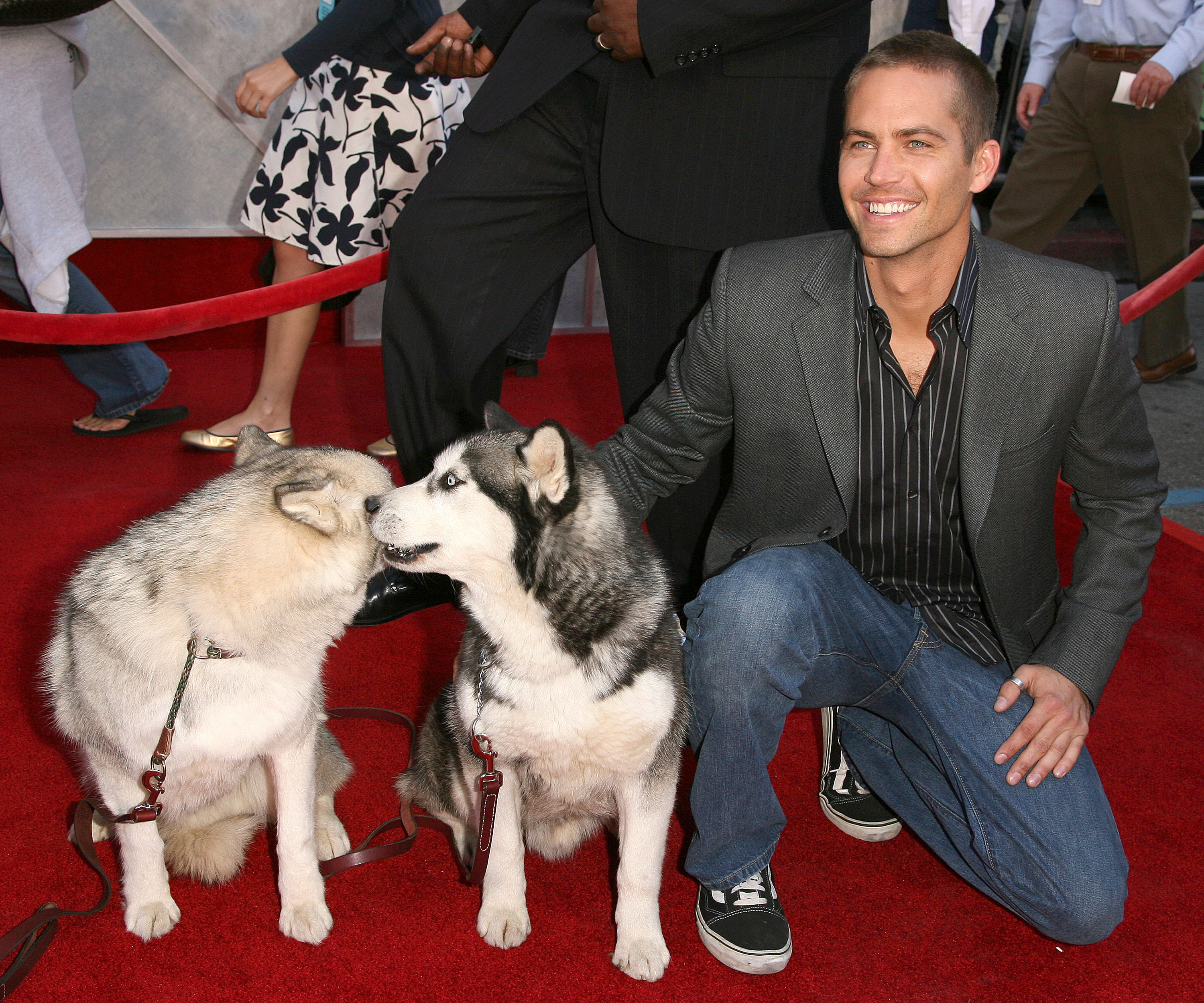 Paul Walker on February 12, 2006, in Hollywood, California | Source: Getty Images