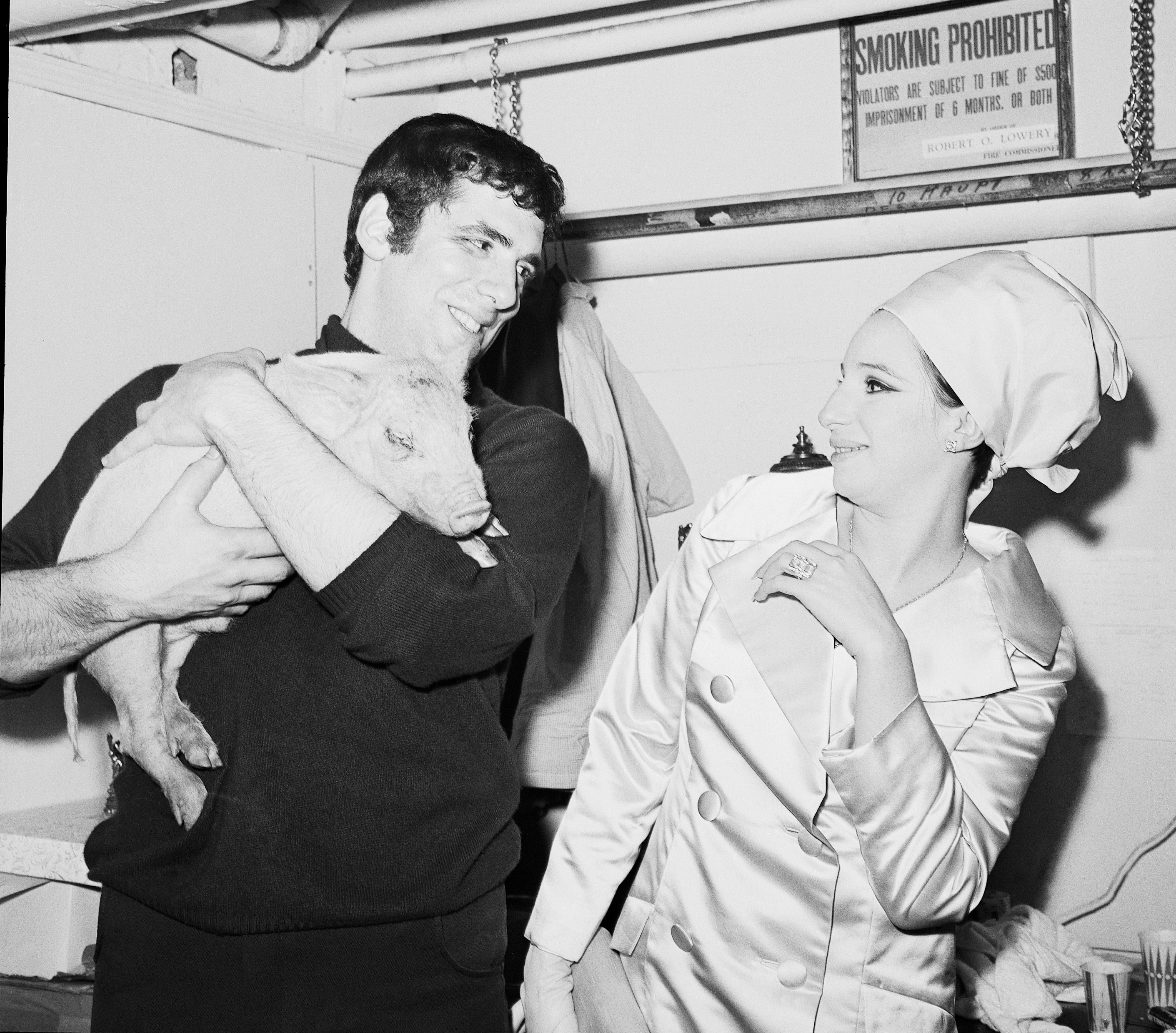 Elliott Gould gave Barbra Streisand a piglet on her birthday in New York, 1966 | Source: Getty Images