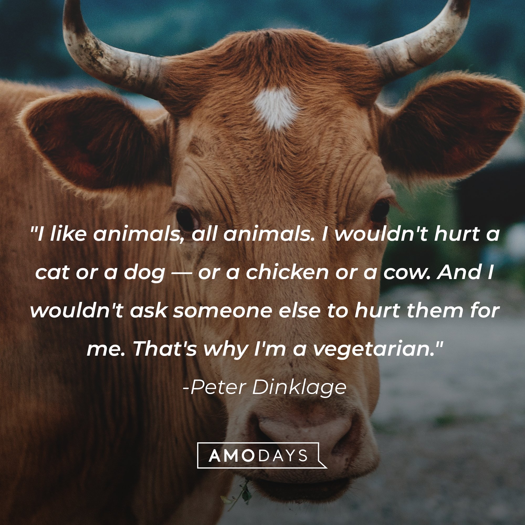 41-cow-quotes-to-make-you-laugh-learn-and-think