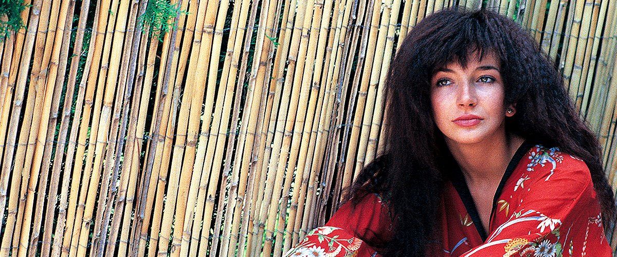 Indigenous Eller enten friktion Dan McIntosh Is Kate Bush's Husband — Meet the Award-Winning English  Singer's Spouse