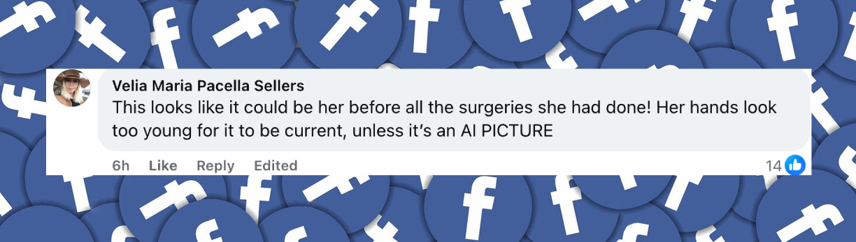 Netizen comment about Donatella Versace, posted on August 26, 2025. | Source: Facebook/Style Revolver