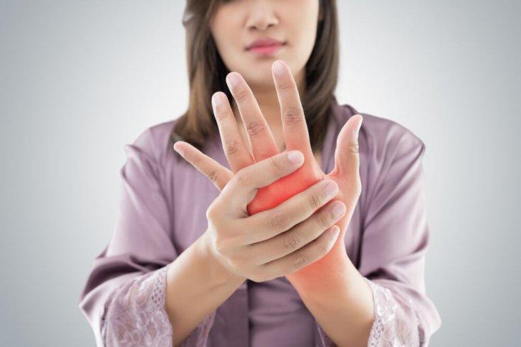 Imagen tomada de: Shutterstock Imagen tomada de: Shutterstock