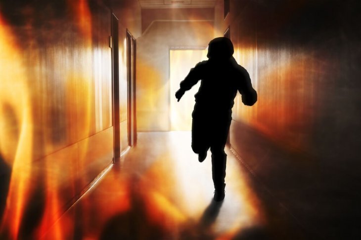 Imagen tomada de: Shutterstock Imagen tomada de: Shutterstock