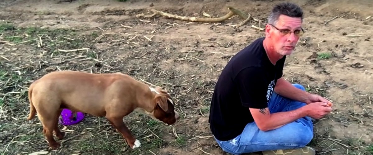youtube.com/A Safefurr Place Animal Rescue