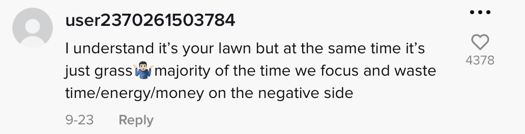 A comment on a video showing trespassers walking on someone's lawn being splashed water from an automatic sprinkler. | Photo:  tiktok.com/@tgunz81 