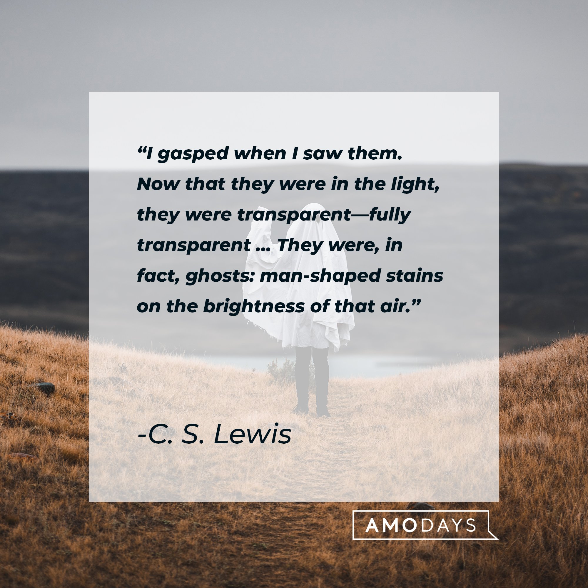C. S. Lewis’ quote: "I gasped when I saw them. Now that they were in the light, they were transparent―fully transparent … They were, in fact, ghosts: man-shaped stains on the brightness of that air." | Image: AmoDays 