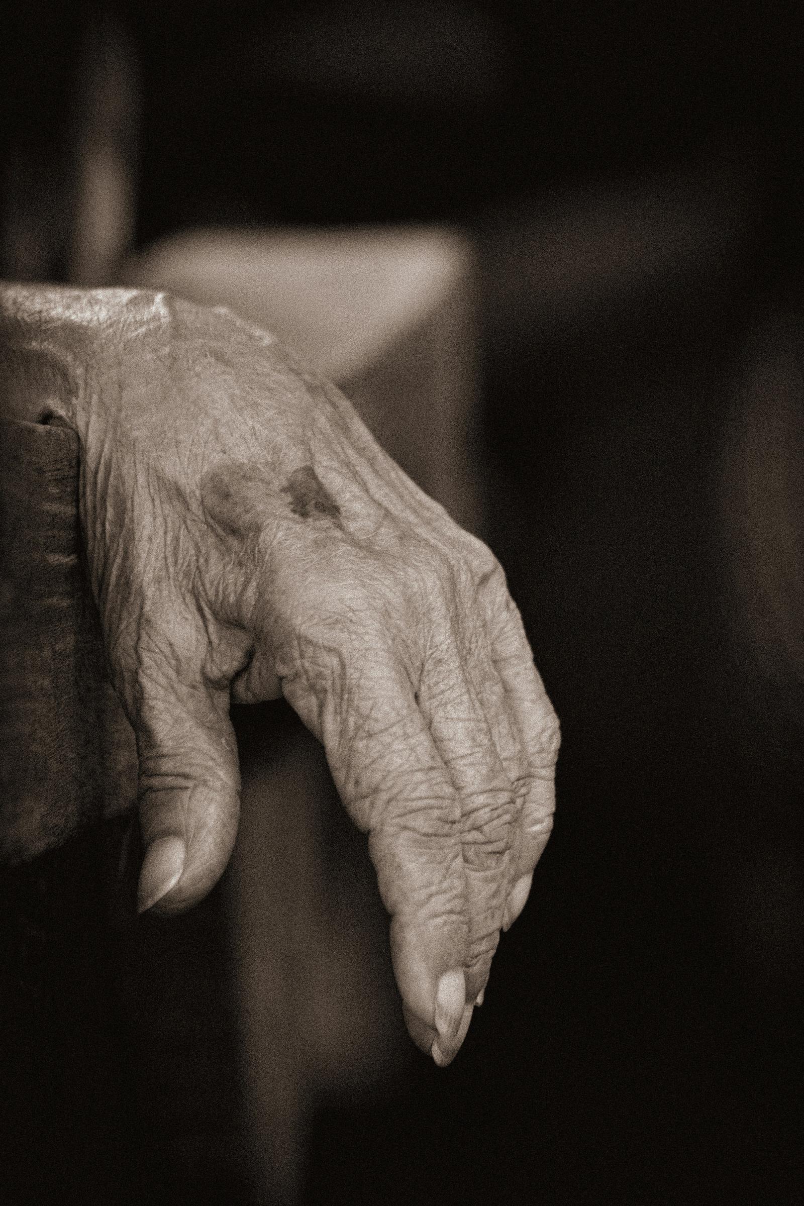 An old person's hand | Source: Unsplash