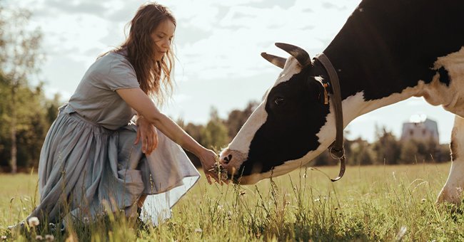 A milkmaid with a cow. | Photo: Pexels