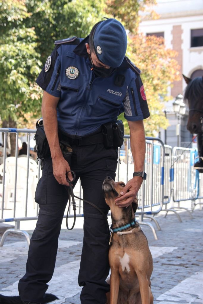 Un officier de police et son chien.| Photo : Getty Images