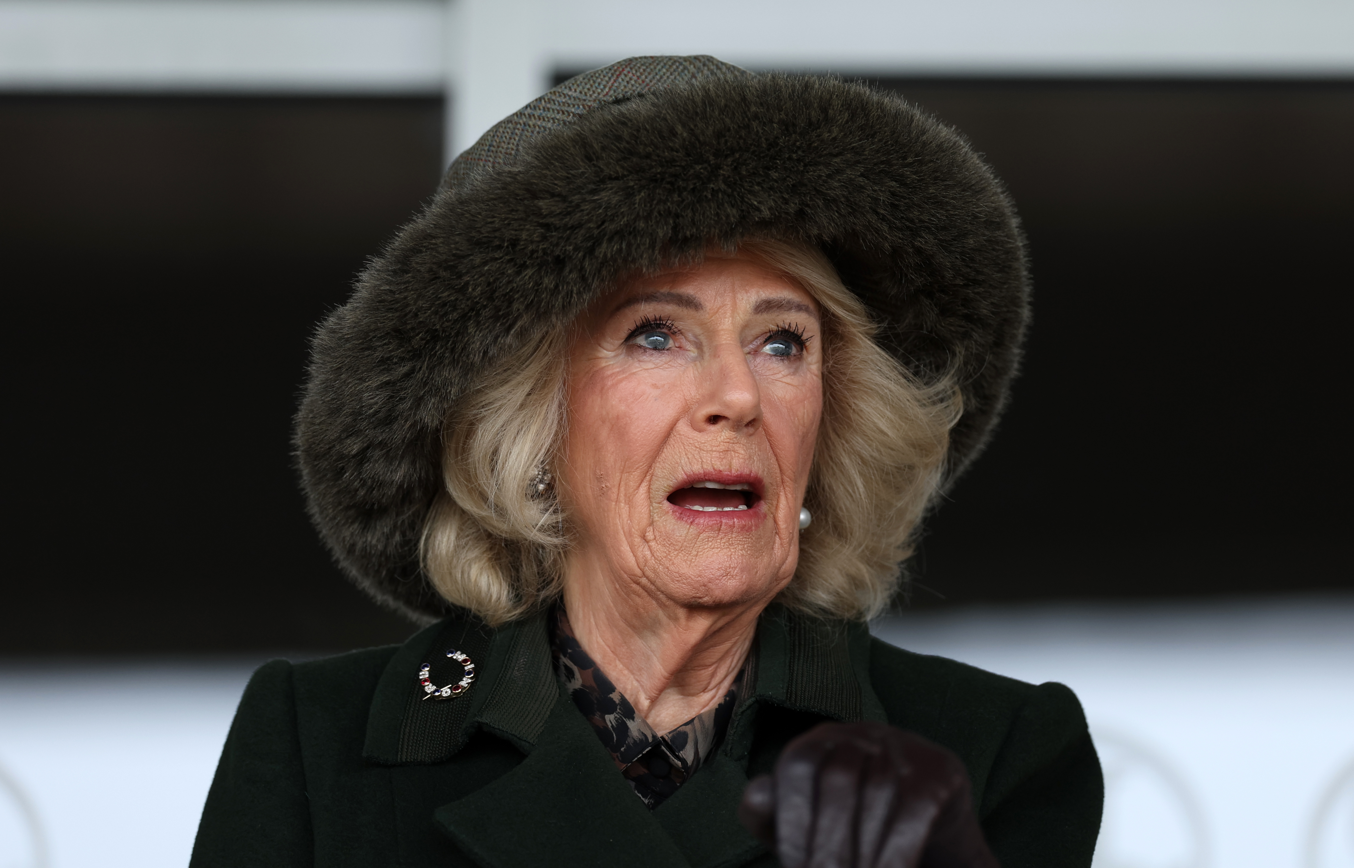 Queen Camilla watches from the stands at Plumpton Racecourse on 23 February 2026 in East Sussex, England. | Source: Getty Images