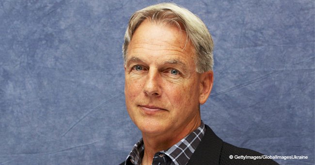 Reason for Mark Harmon’s Success Hides in His Dad’s Life Advice