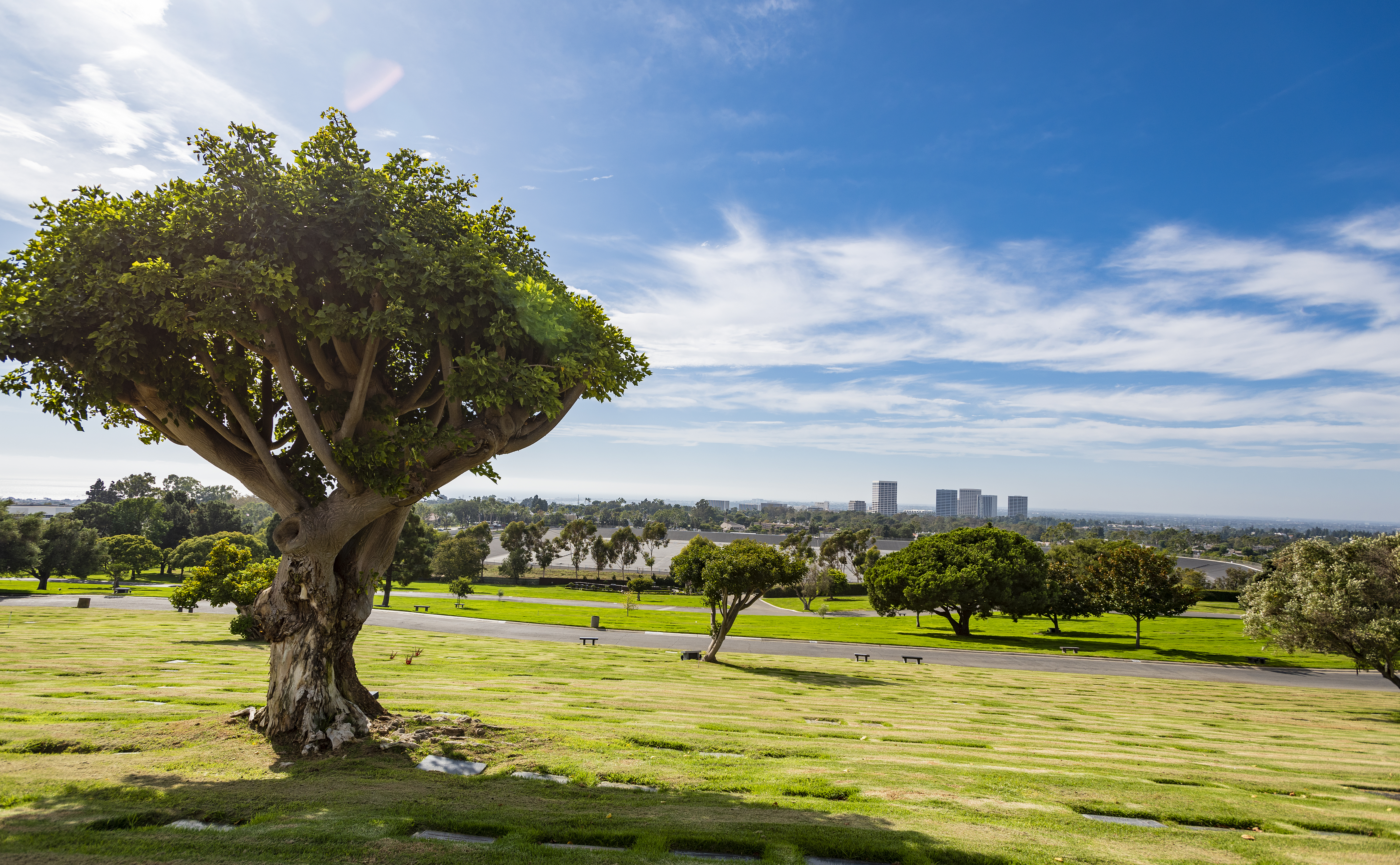 The ocean view near John Wayne gravesite at Pacific View Memorial Park and Mortuary in Newport Beach on September 25, 2019 | Source: Getty Images