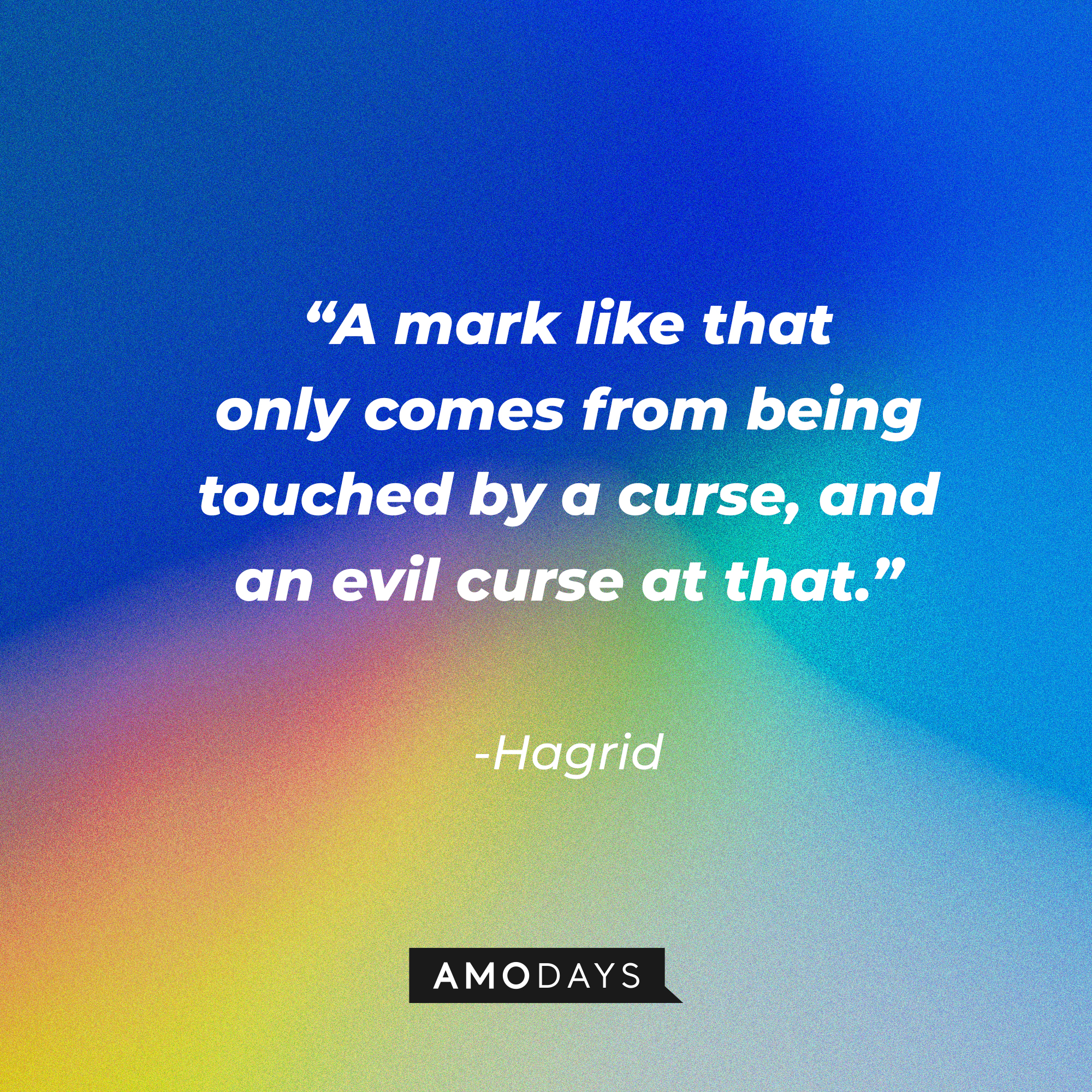 Hagrid's quote: "A mark like that only comes from being touched by a curse, and an evil curse at that." | Source: AmoDays