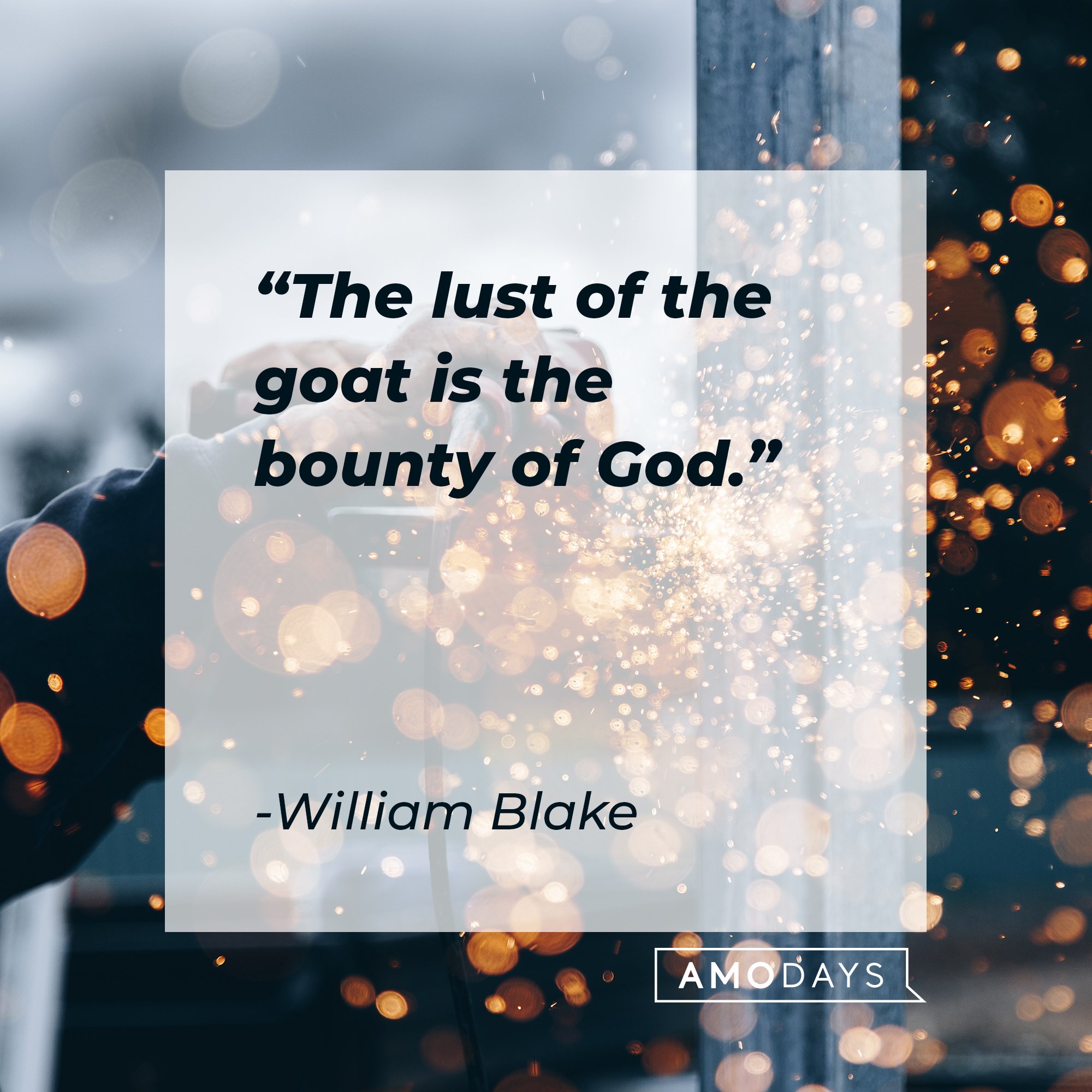 William Blake’s quote: "The lust of the goat is the bounty of God." | Image: AmoDays
