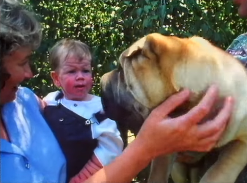 Debbie Tennent hält ihren Sohn Tomm Tennent, während sie einen Shar Pei streichelt | Quelle: YouTube.com/60 Minutes Australia