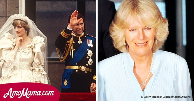 Charles and Camilla's reported plot to slur Diana as a scheming hysteric