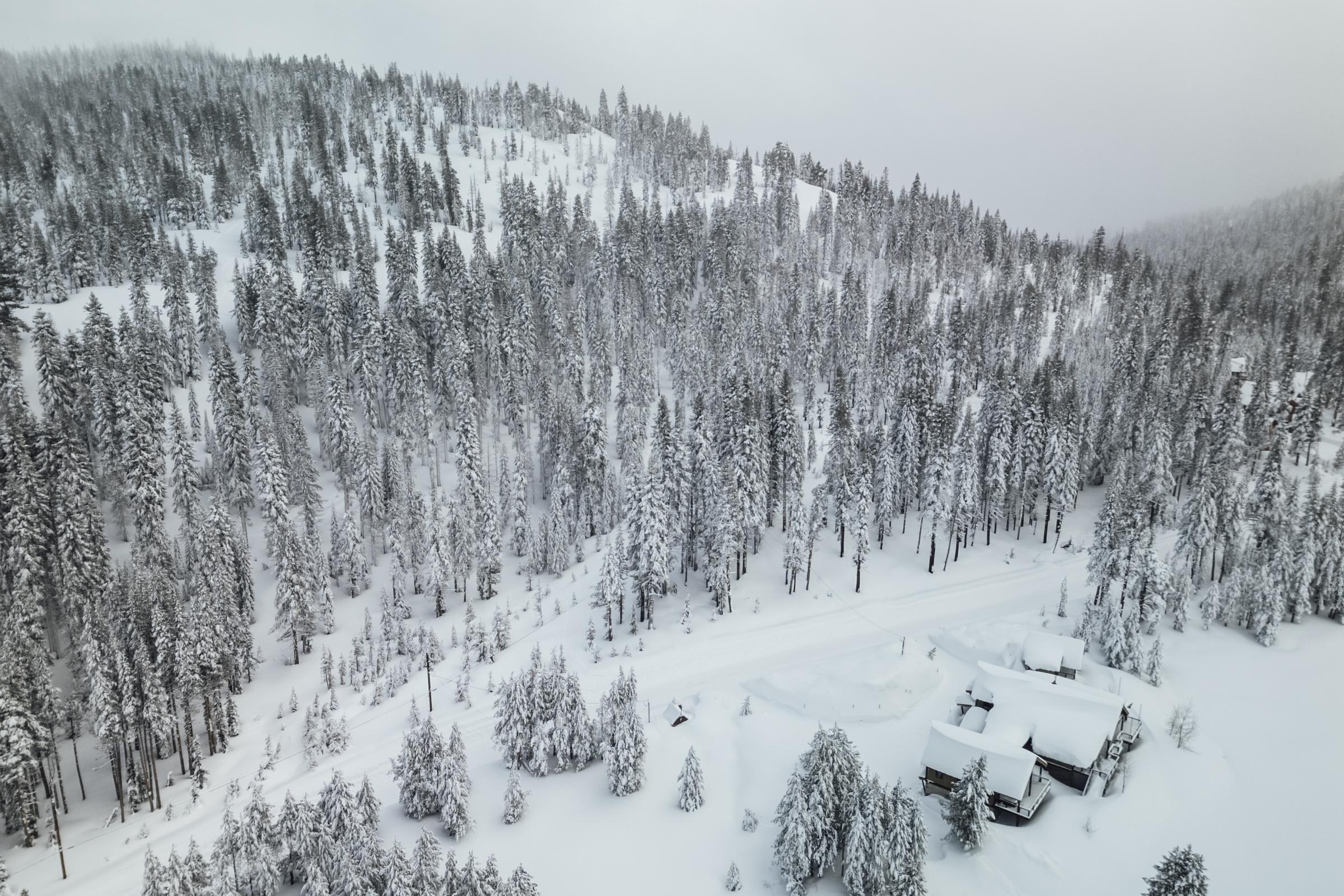 A hillside covered with snow amidst a winter snow storm in on February 14, 2025, in Soda Springs, California. | Source: Getty Images