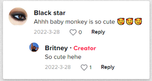 Ein positiver Kommentar über Britneys Baby | Quelle: tiktok.com/@britneyisthebest_