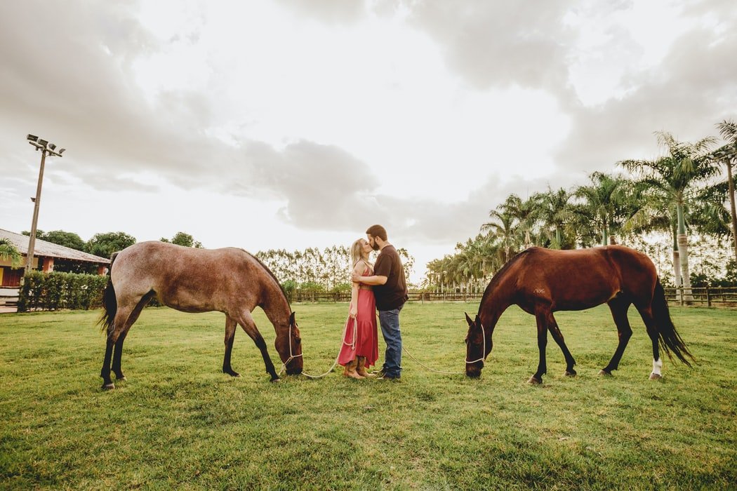 Couple on with horses | Source: Unsplash