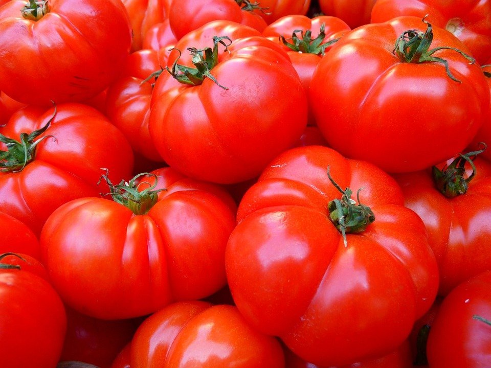 Tomates / Imagen tomada de: Pixabay Tomates / Imagen tomada de: Pixabay