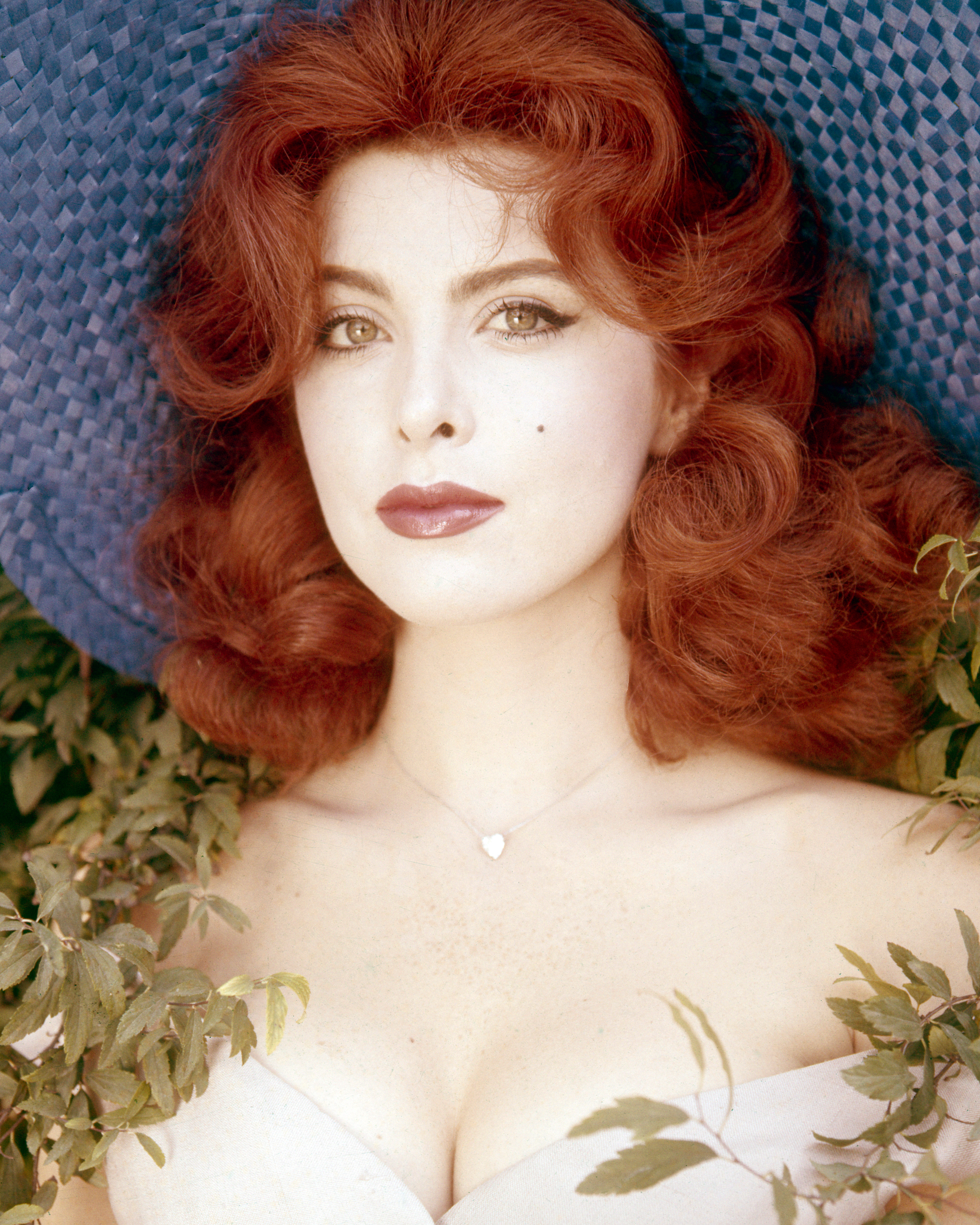 Tina Louise posing for a photo, circa 1965 | Source: Getty Images