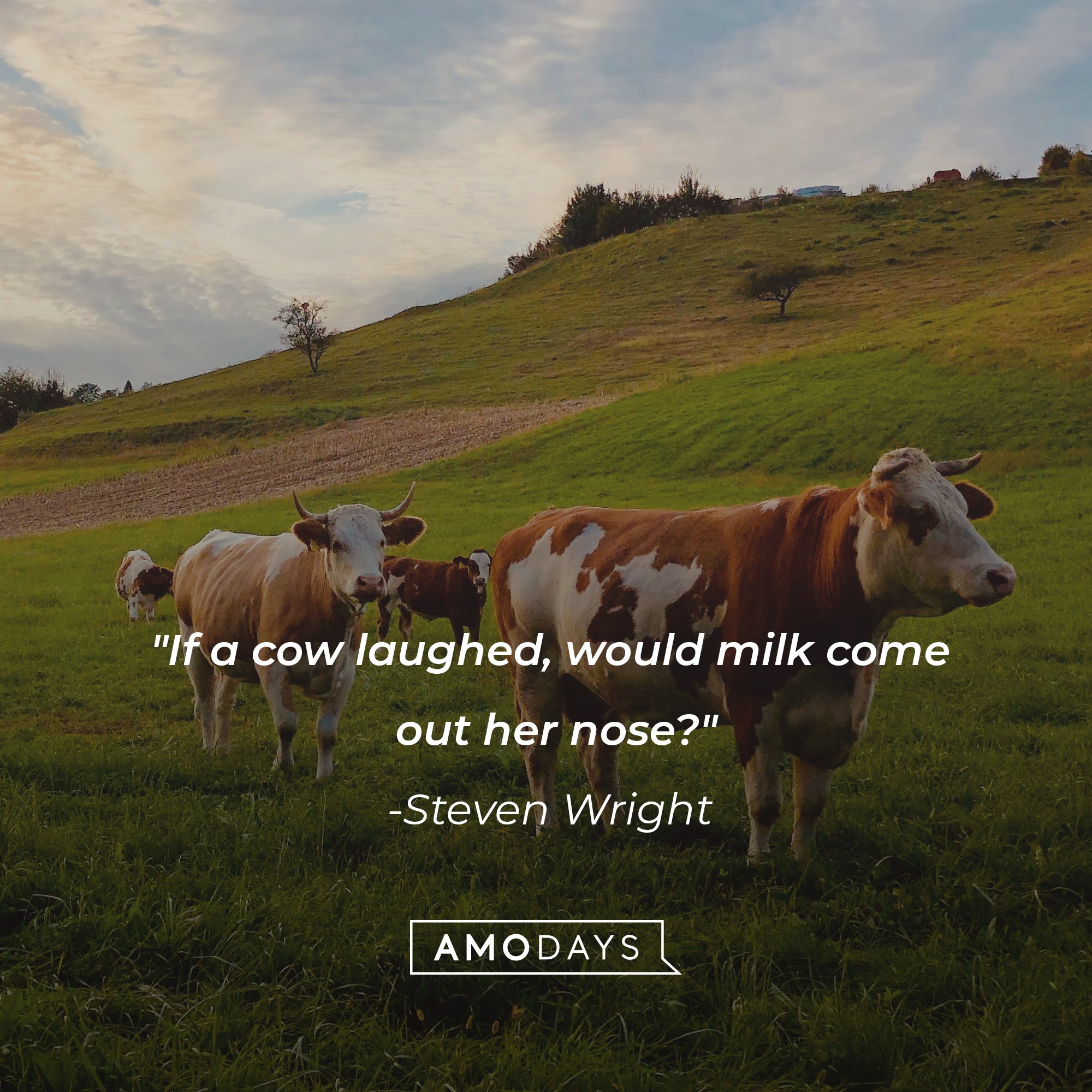 Steven Wright’s quote: "If a cow laughed, would milk come out her nose?" | Image: AmoDays