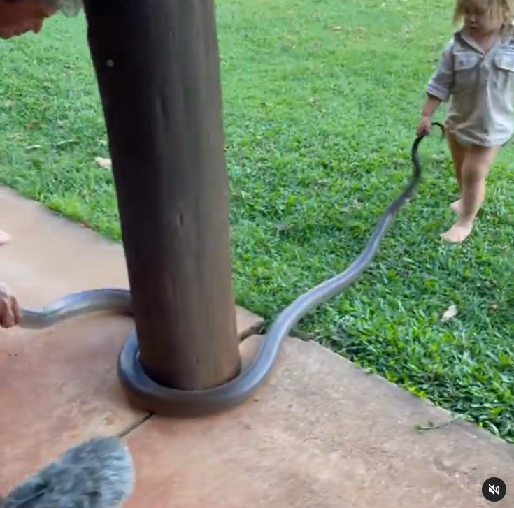 Matt Wright and his son, Banjo, playing with a snake on September 30, 2021 | Source: Instagram/mattwright