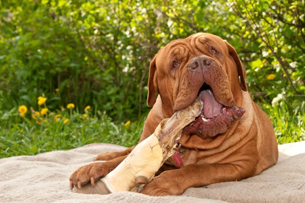 Fuente: Shutterstock