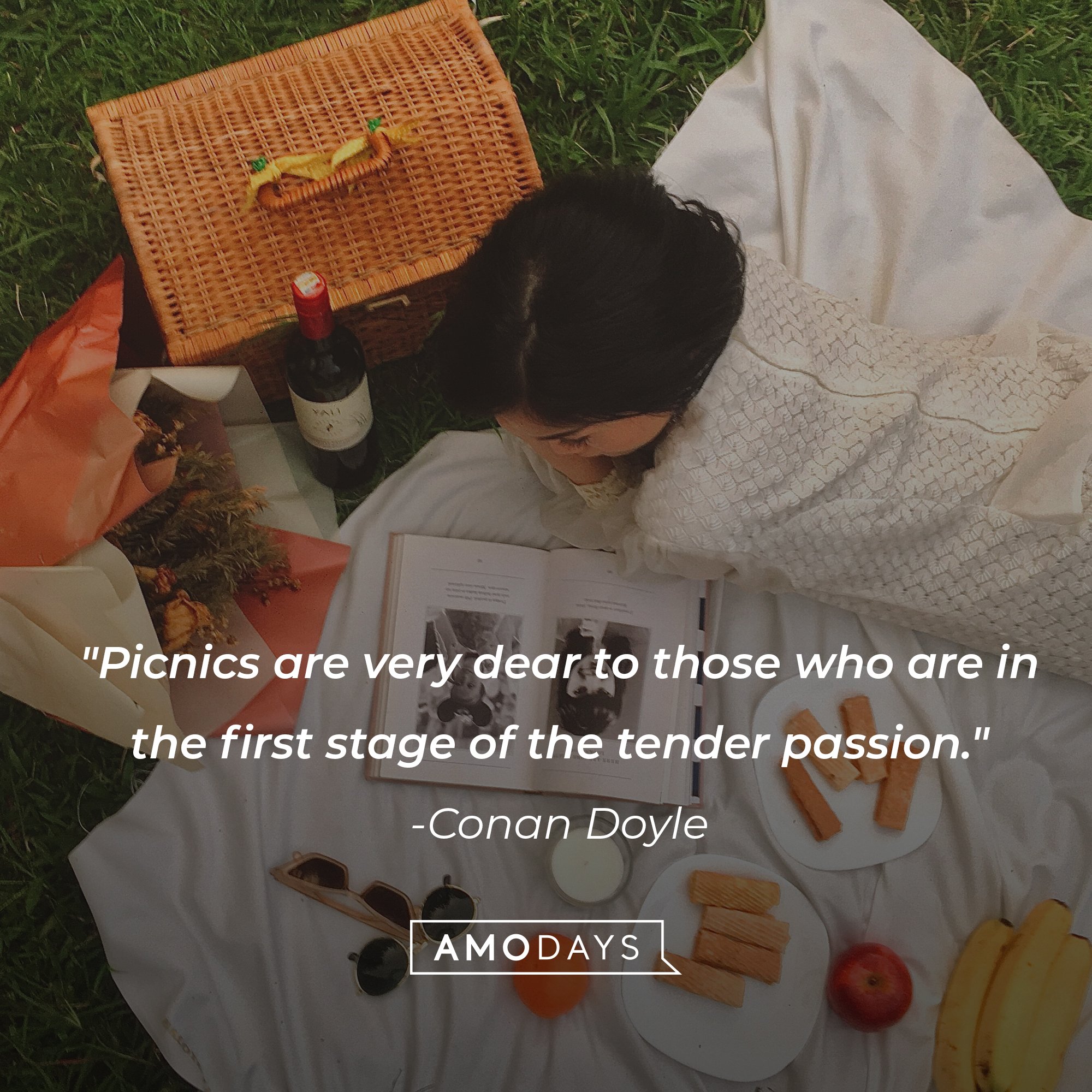 Arthur Conan Doyle's quote: "Picnics are very dear to those who are in the first stage of the tender passion." | Image: AmoDays