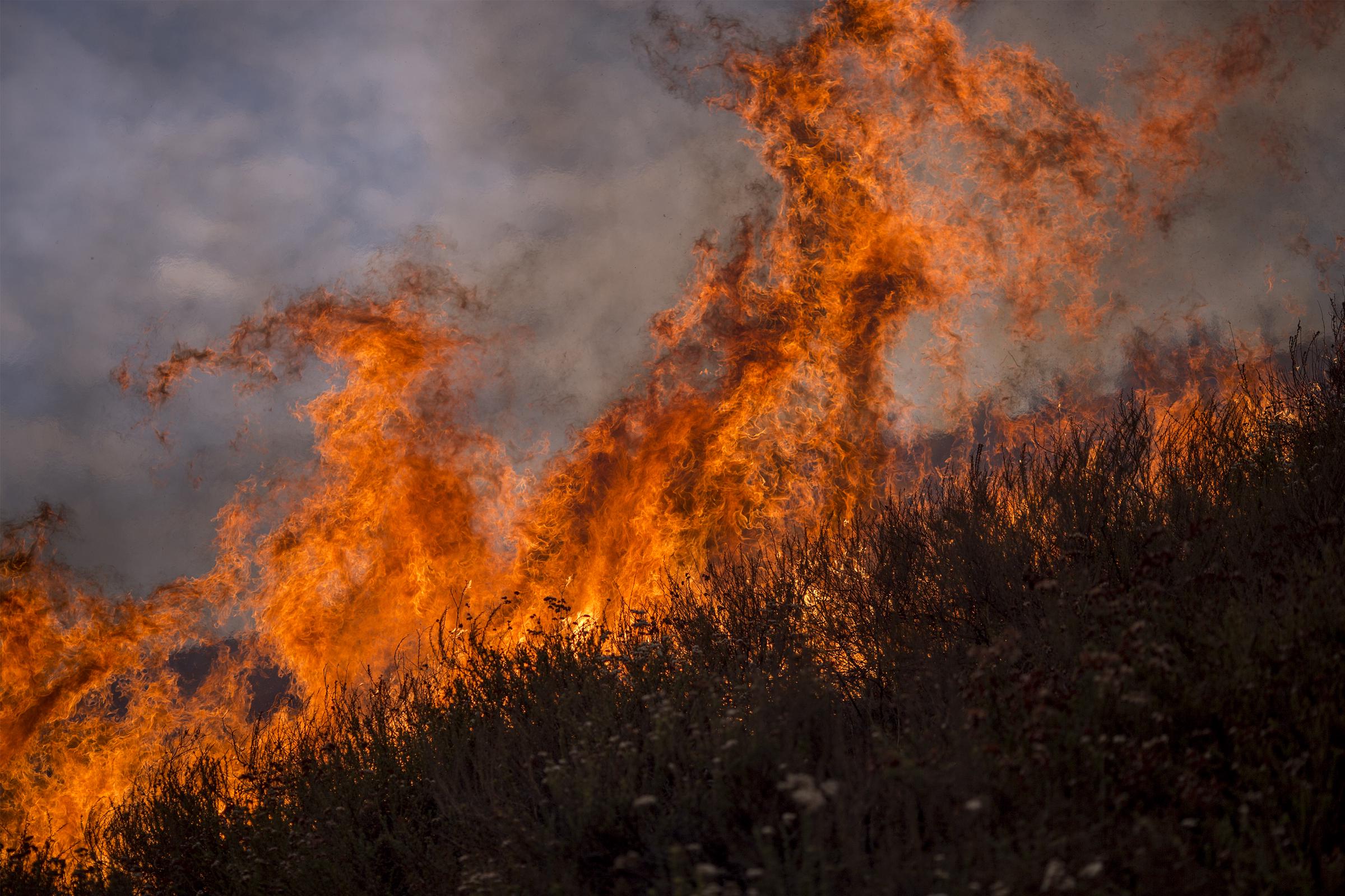 Flames rise from the La Tuna Fire near Burbank, California, on September 2, 2017 | Source: Getty Images