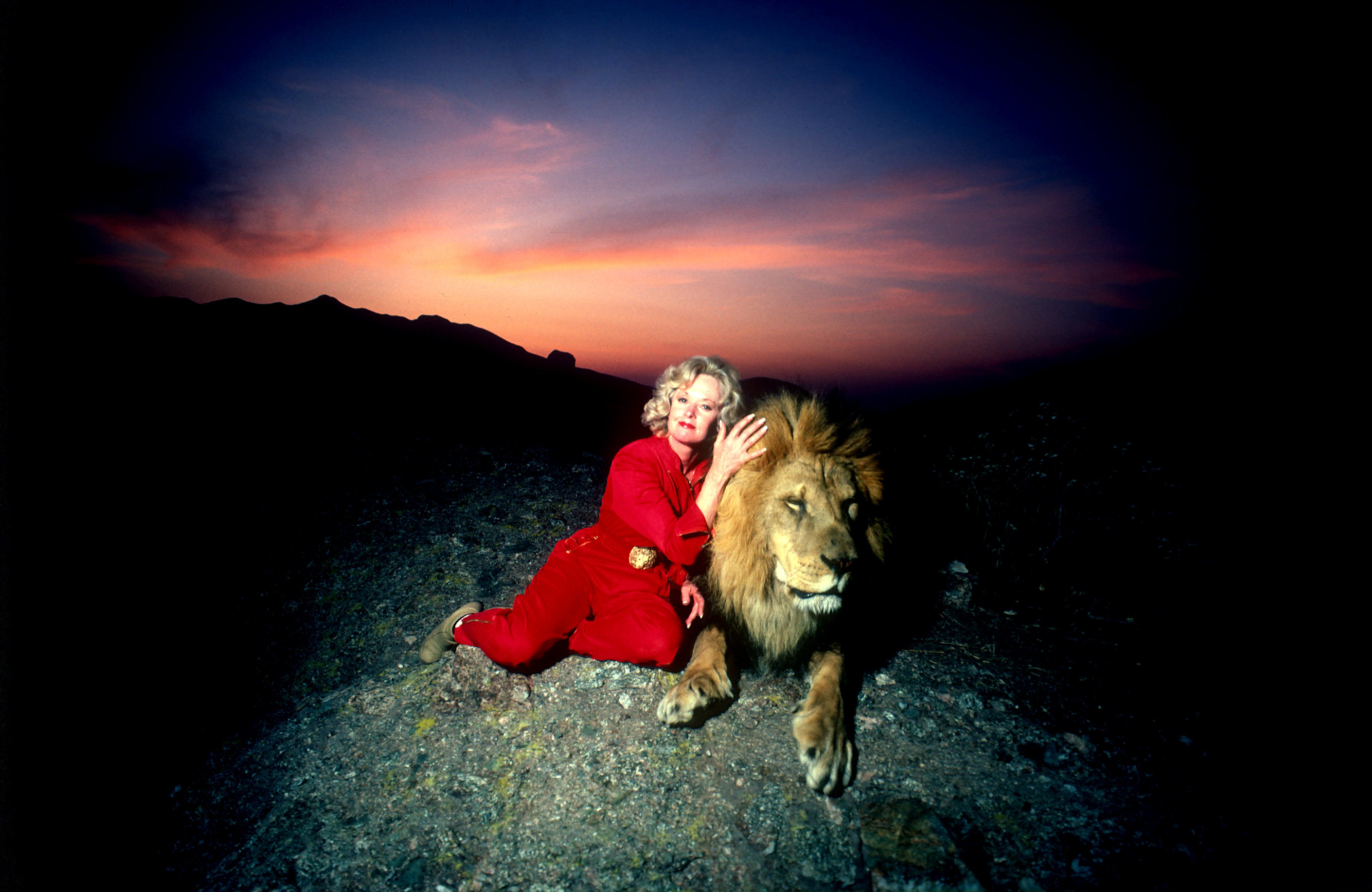 Actress Tipi Hedren, mother of Melanie Griffiths stands on a hill overlooking her Saugus Animal reserve with a full grown male lion. November 16, 1983 on he mountainside in Saugus, California. | Source: Getty Images