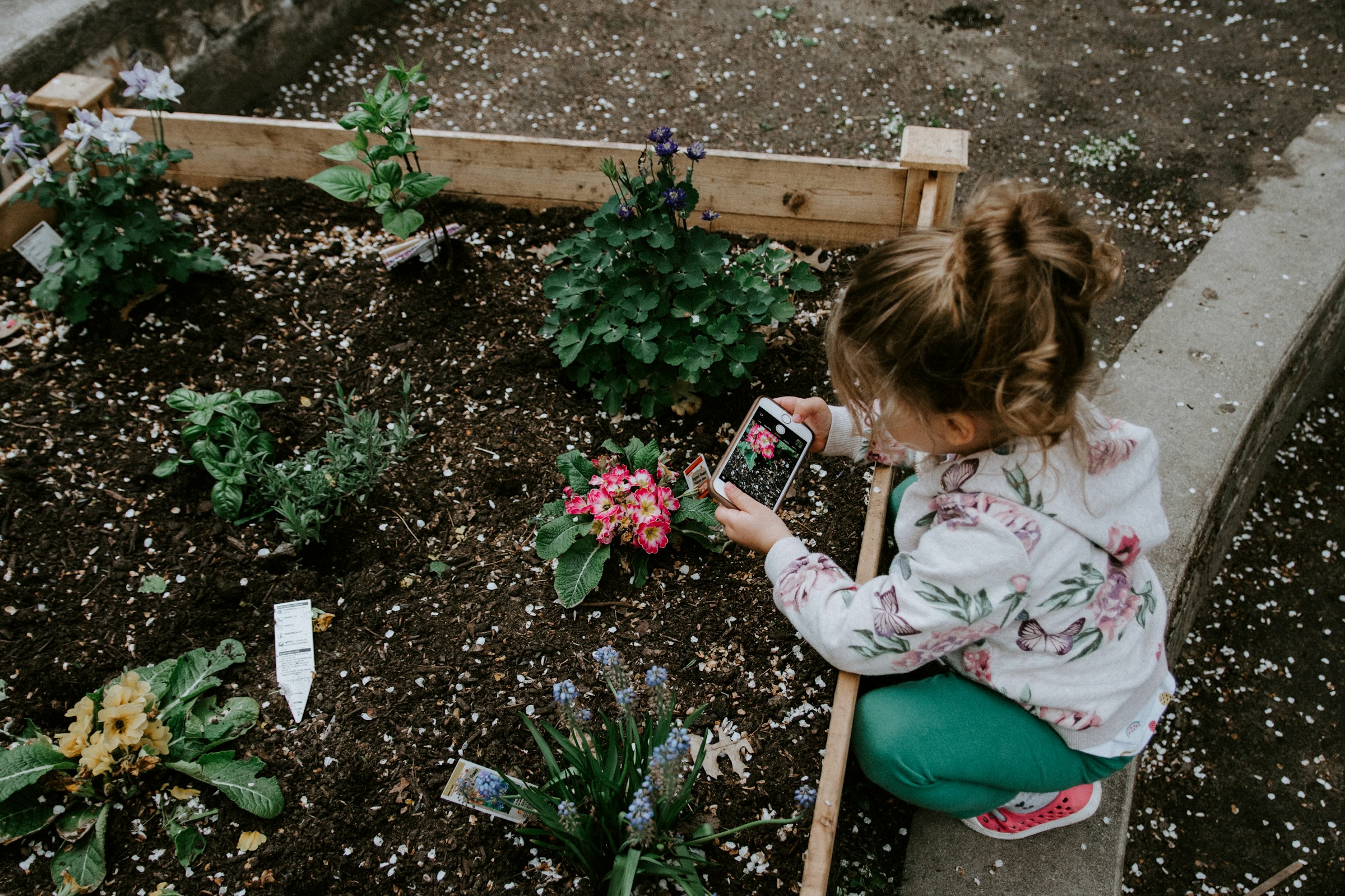 A little girl in a garden | Source: Unsplash