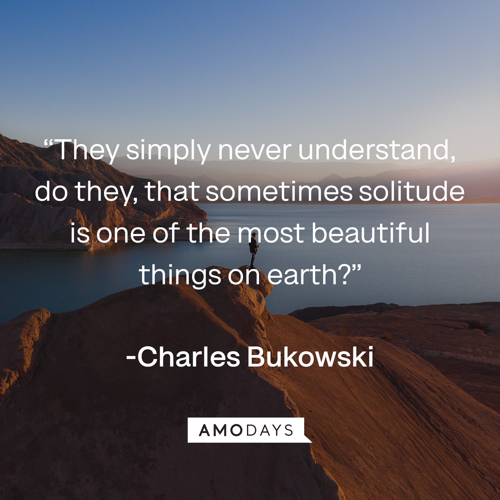 Charles Bukowski‘s quote: “They simply never understand, do they, that sometimes solitude is one of the most beautiful things on earth?”| Image: Amodays