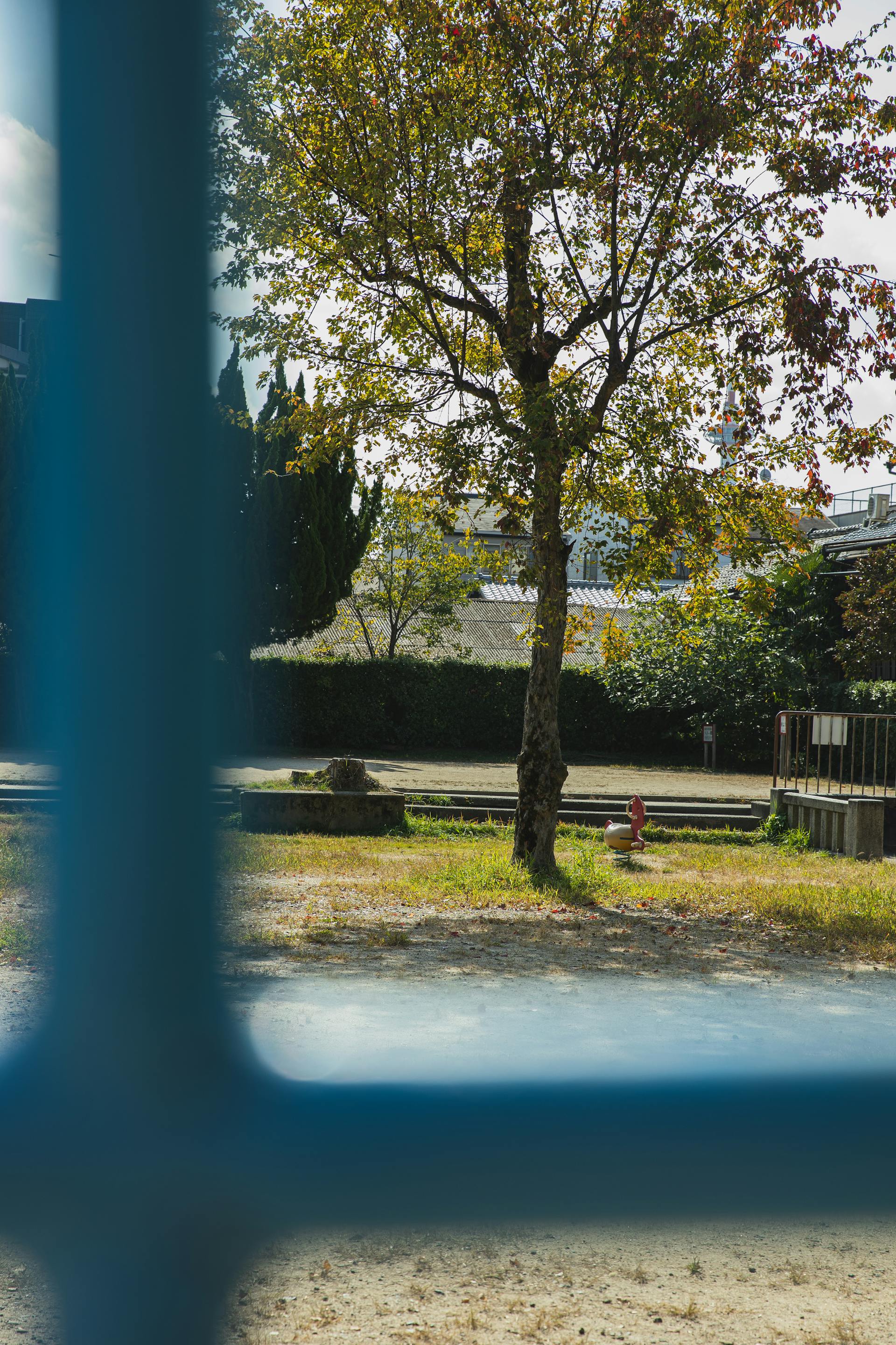 Window view of an empty yard | Source: Pexels