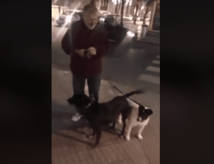 El perro vaca junto a su dueño │Imagen tomada de: Facebook / Campeche en Línea