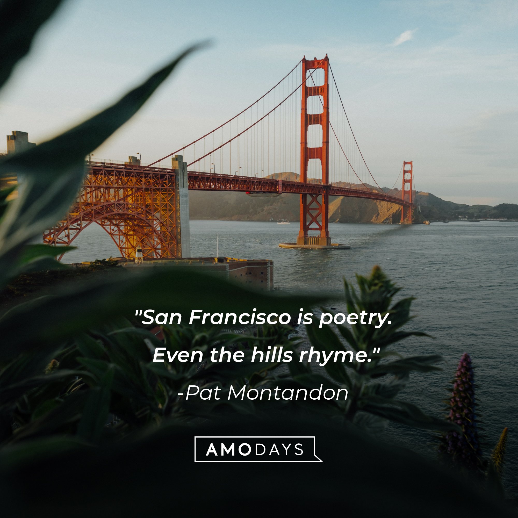 Pat Montandon’s quote: "San Francisco is poetry. Even the hills rhyme." | Image: AmoDays
