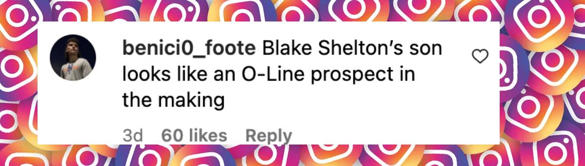 A user comment on Blake Shelton, dated November 11, 2024 | Source: Instagram/azcardinals