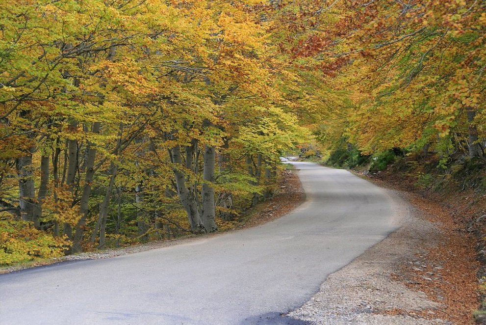 Parque Natural de la Dehesa del Moncayo, en el sector central de la Cordillera Ibérica. | Imagen: Flickr