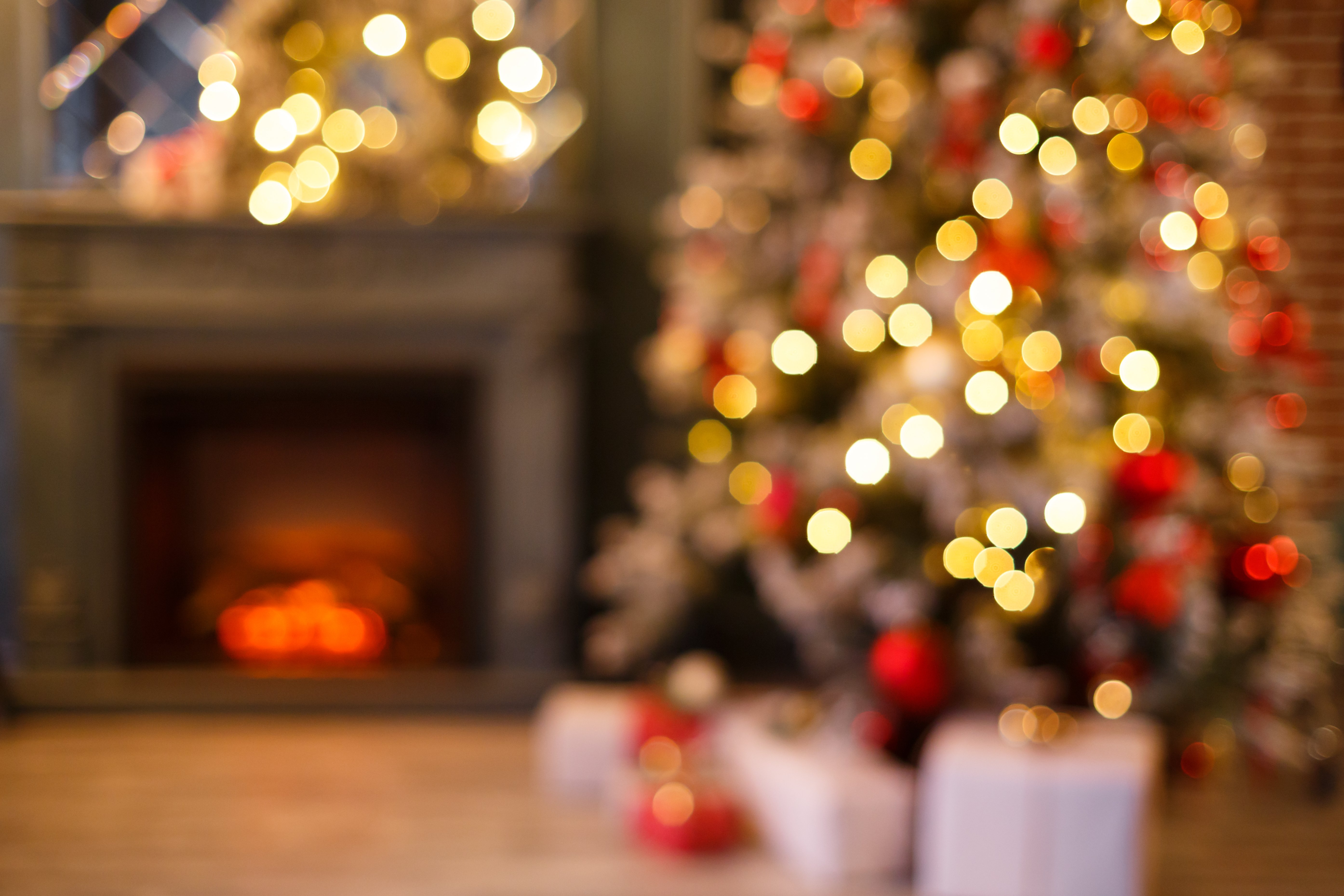 Árbol de Navidad. | Foto: Shutterstock