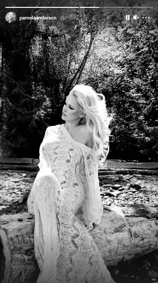 Pamela Anderson posing in a beautiful white dress in an outdoorsy setting | Source: Instagram/@pamelaanderson