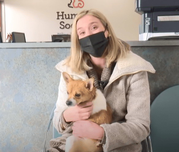 Dr. Sue Lynch and Jim the Chihuahua mix during an interview. | Photo: YouTube/NewsChannel 13