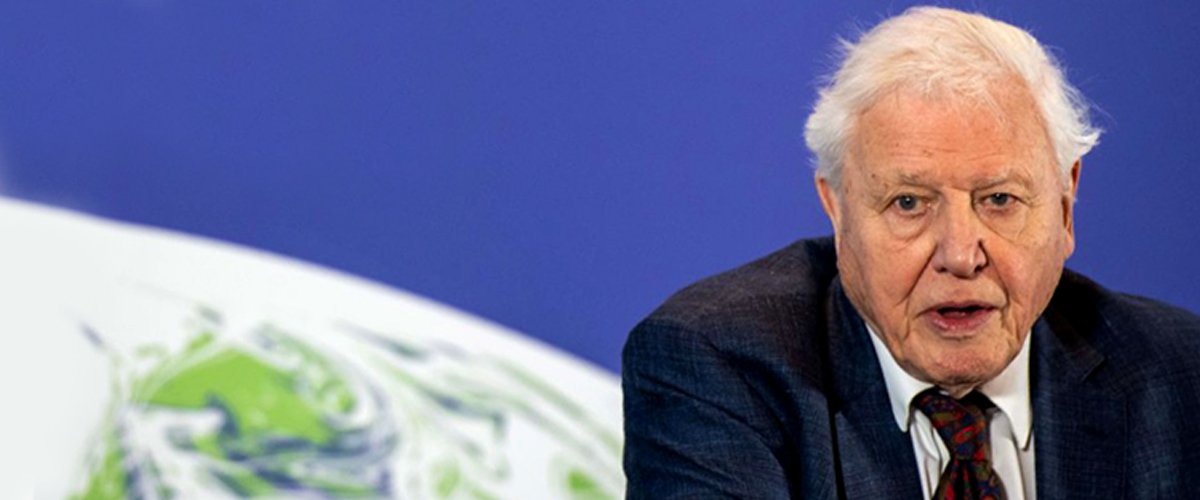David Attenborough at the launch of the UK-hosted COP26 UN Climate Summit on February 4, 2020 in London | Photo: Getty Images