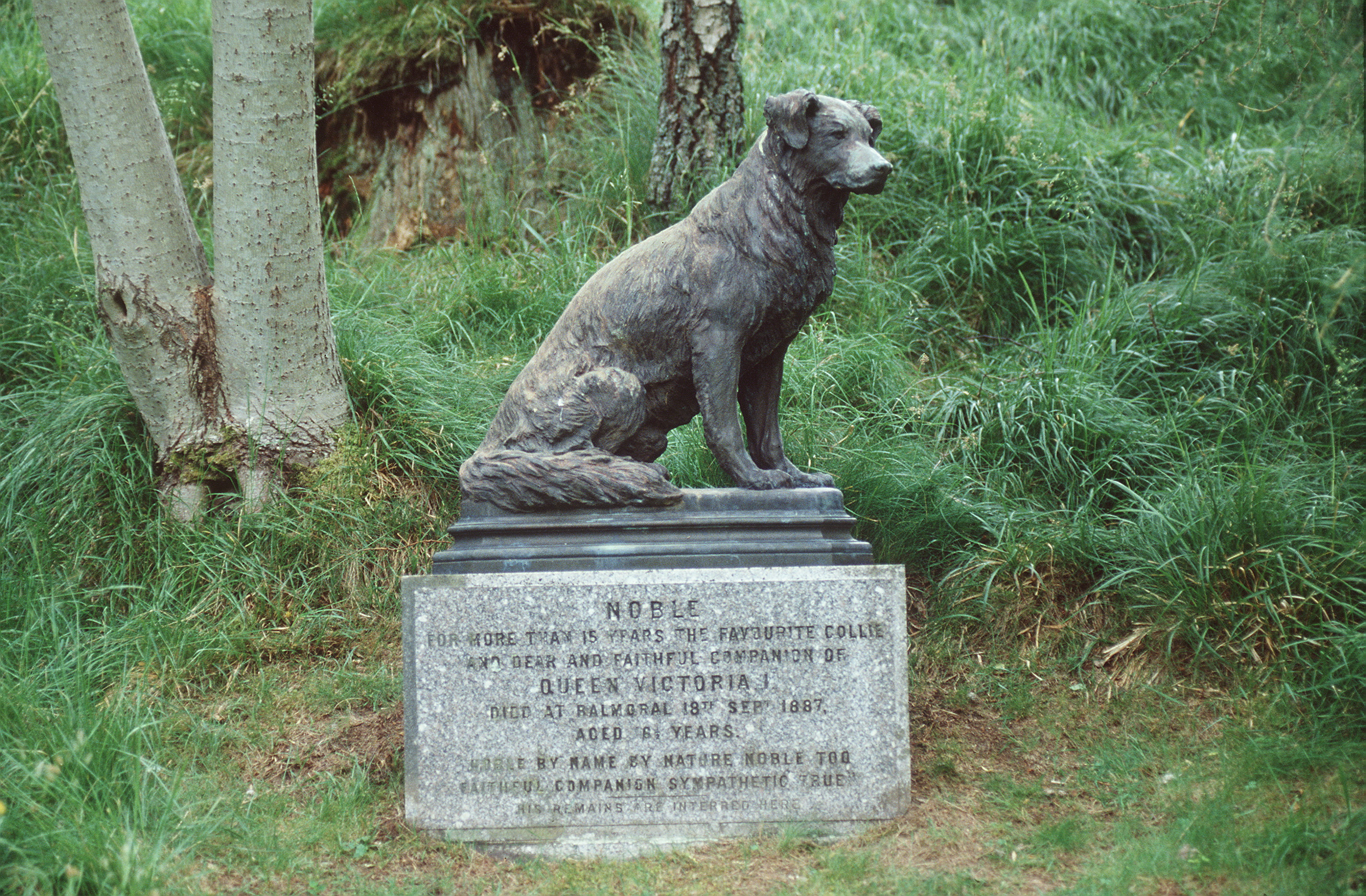 A statue of Queen Victoria's dog, Noble | Source: Getty Images