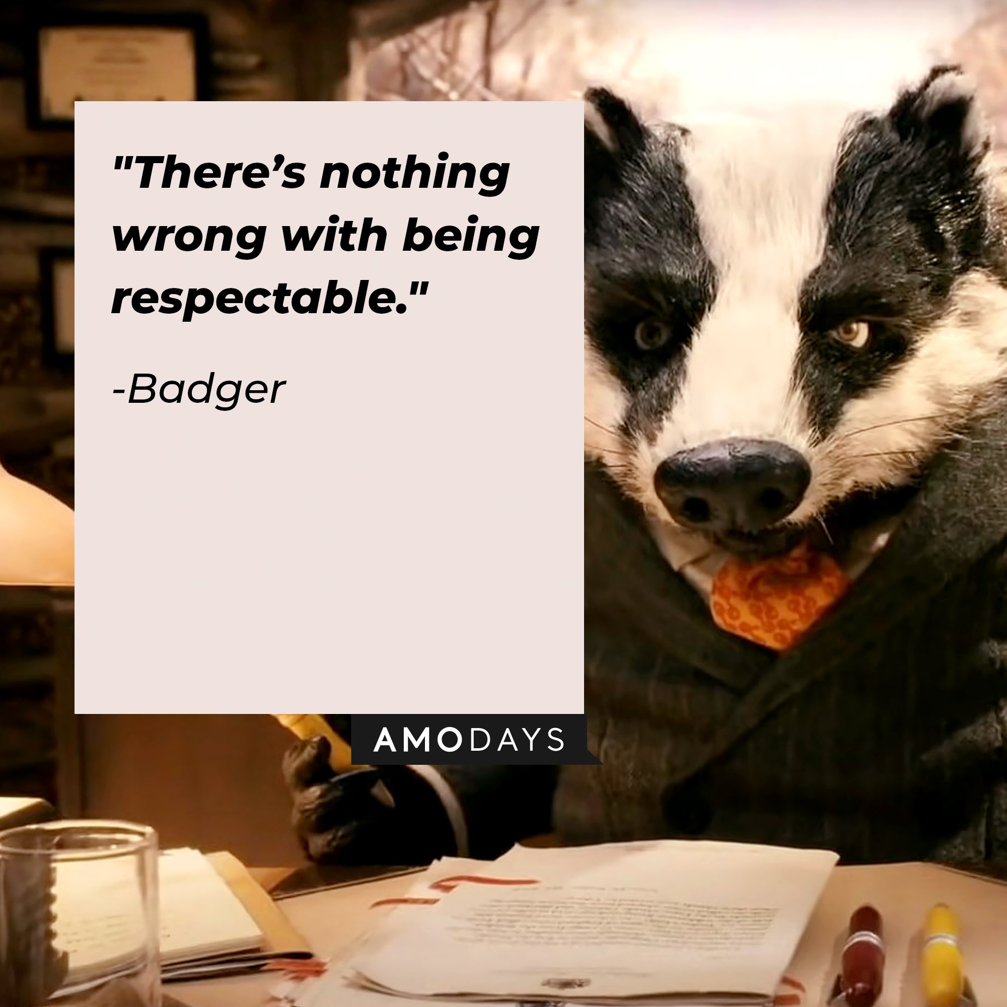 Badger’s Quote: ″There’s nothing wrong with being respectable." | Image: AmoDays