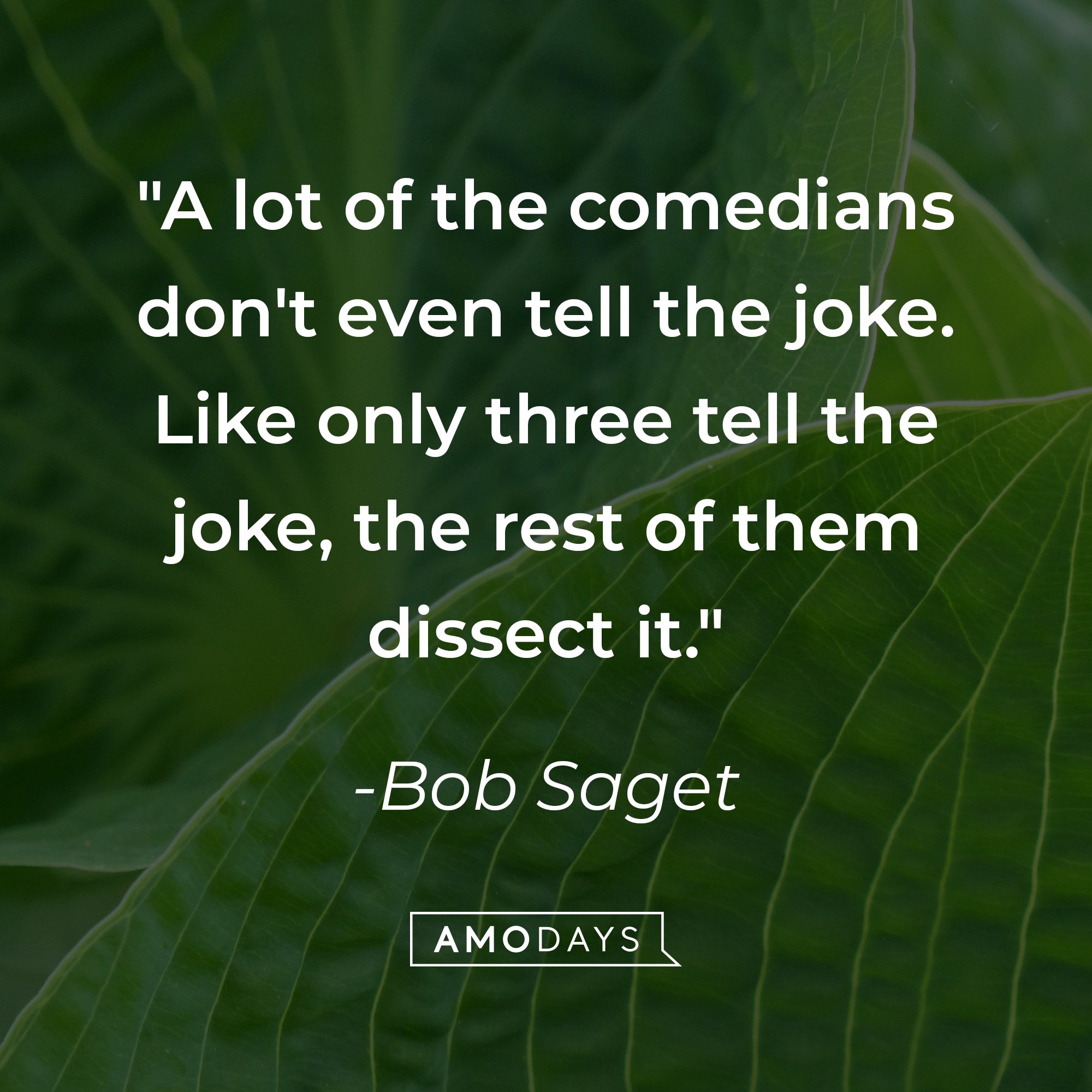  Bob Saget’s quote: "A lot of the comedians don't even tell the joke. Like only three tell the joke, the rest of them dissect it." | Image: AmoDays