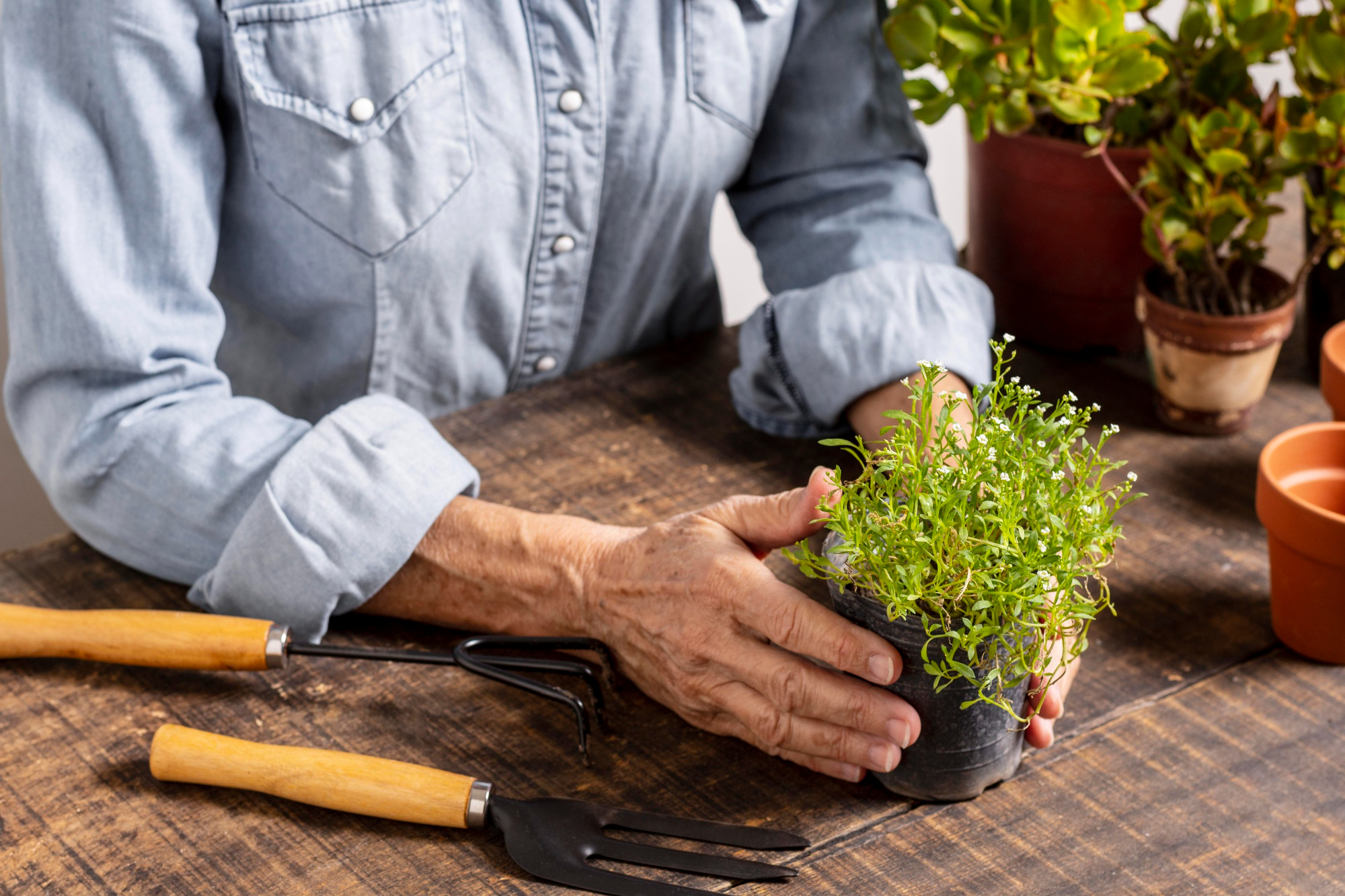 A man tending to plants | Source: Freepik