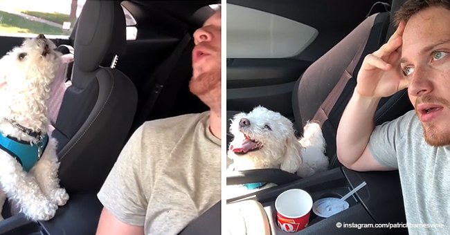 Dog owner creates a plan to find a girlfriend for his cute little dog