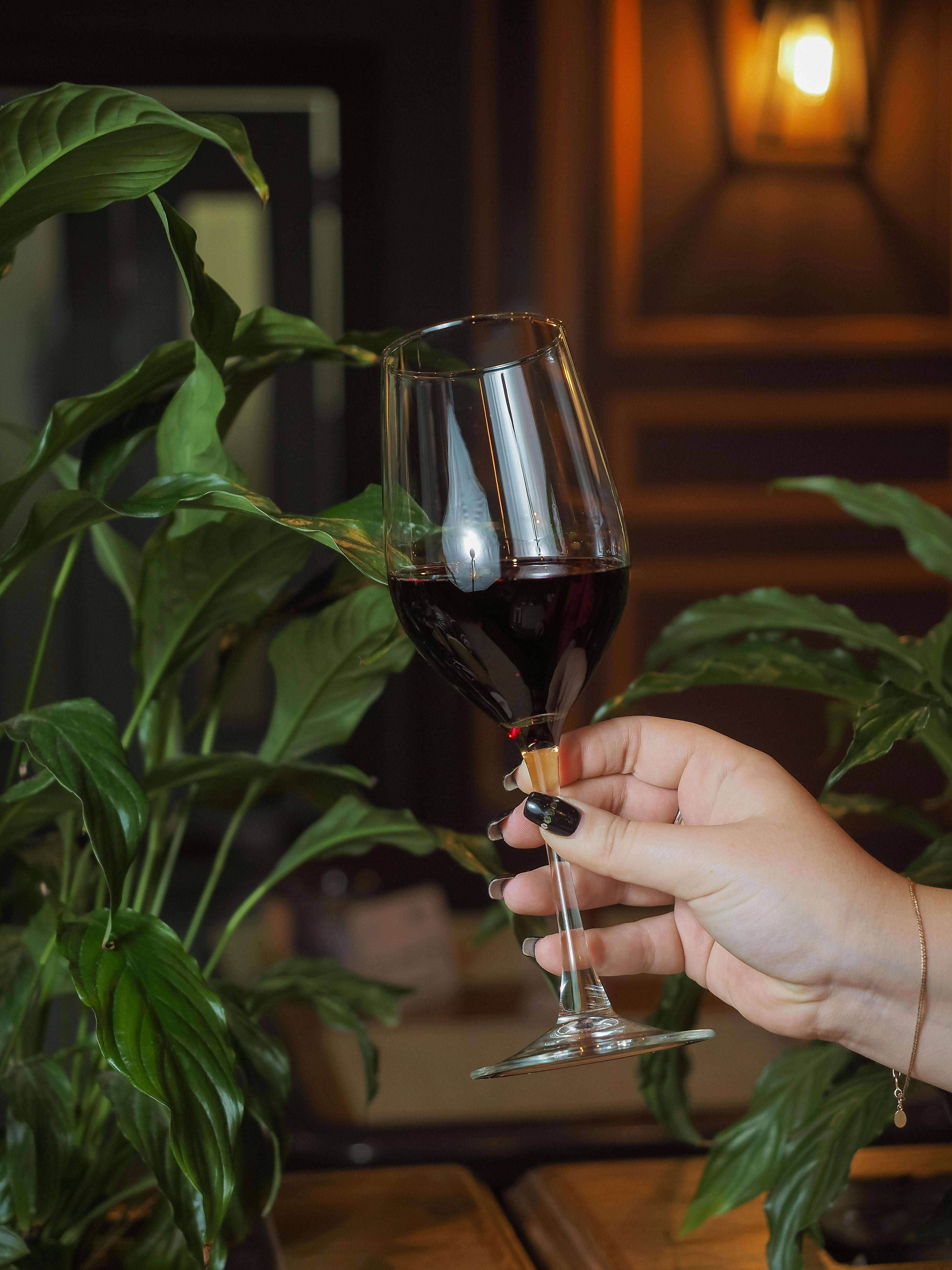 A woman's hand holding a wine glass | Source: Pexels